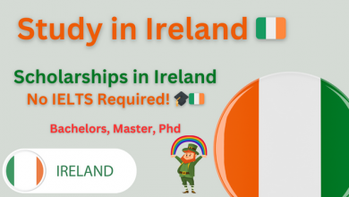 Scholarships in Ireland Without IELTS