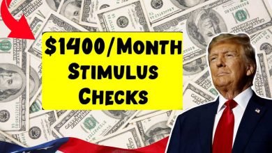 $1400Month Stimulus Checks 2025