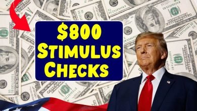 $800 Stimulus Checks 2025